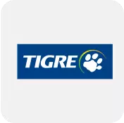 Tigre